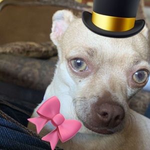 Meet your Posher, Jonathan